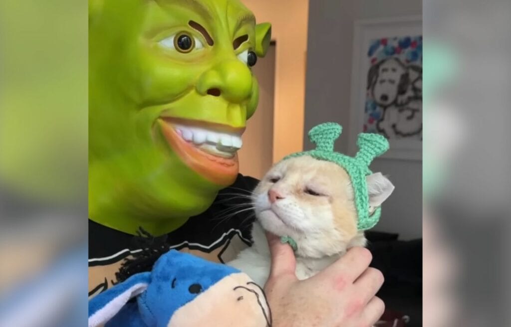 Shrek the cat with a man wearing Shrek mask
