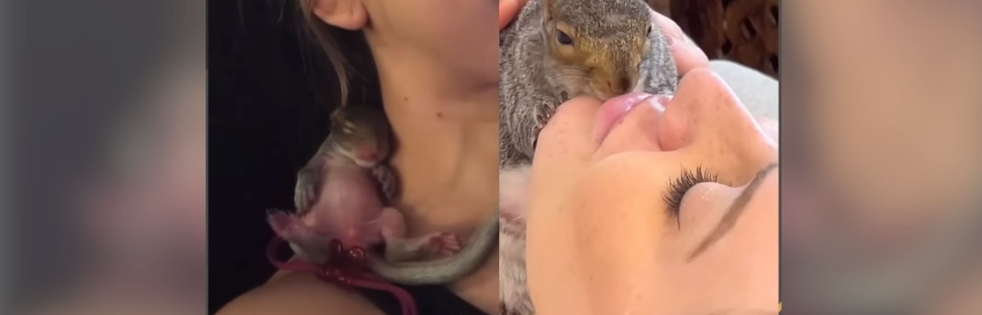 Couple Relocates to Florida For Their Baby Squirrel