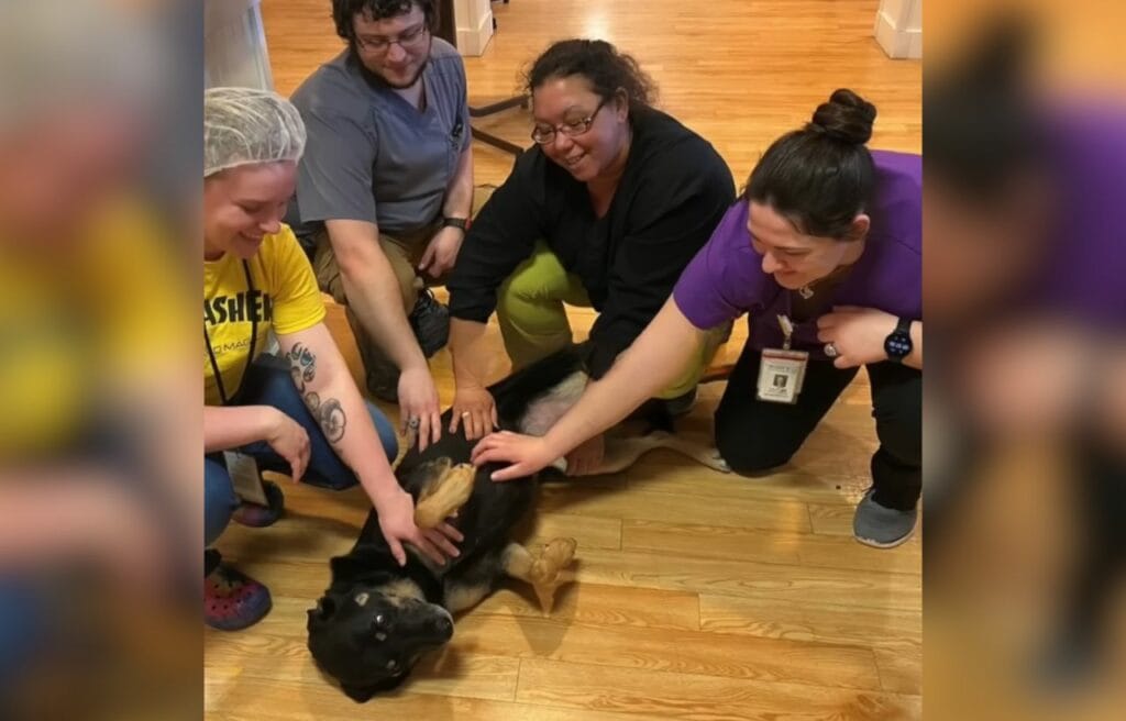 Medical staffs petting Scout