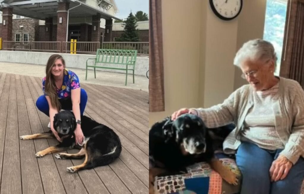side by side image of Scout with a medical staff and with a resident