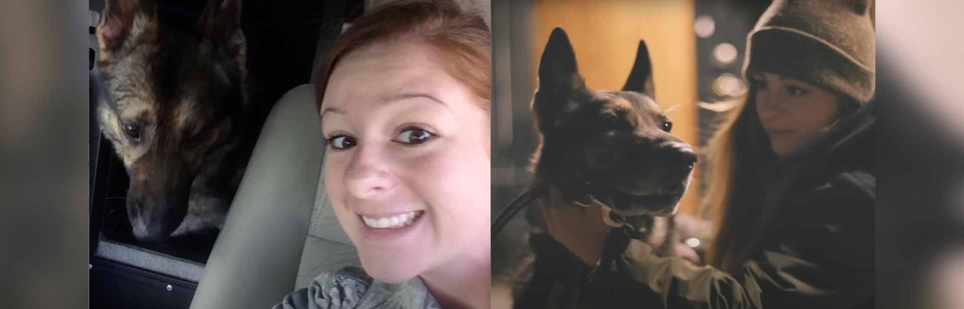 No Soldier Left Behind: How One Military Dog Made It Home to His Human Partner in A Heartwarming Surprise