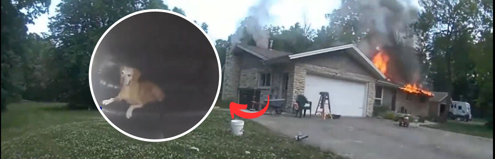 Fearless Officer Dashes Into Burning House To Save Two Trapped Dogs