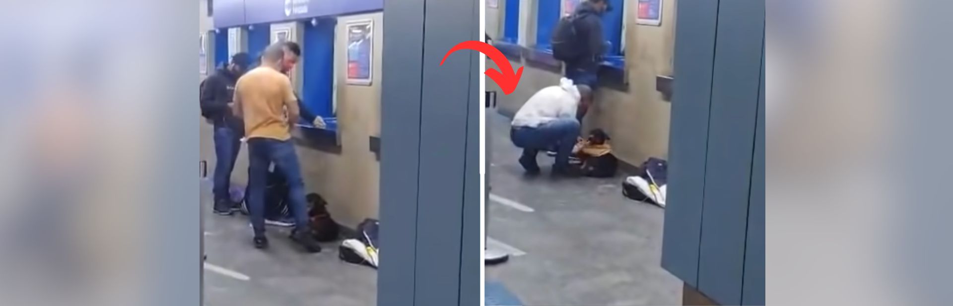 Freezing Dog in Subway Warmed by Unexpected Act of Kindness